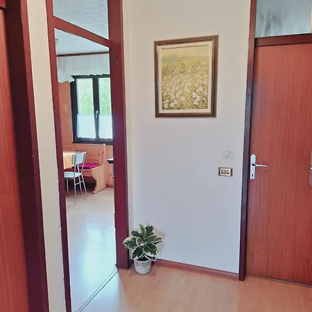 Apartma Ferjan * Zaga