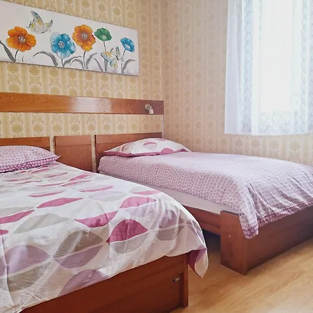 Apartma Ferjan شقة