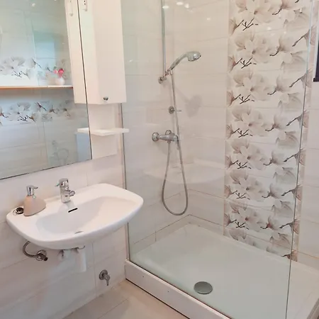 Apartma Ferjan شقة Zaga