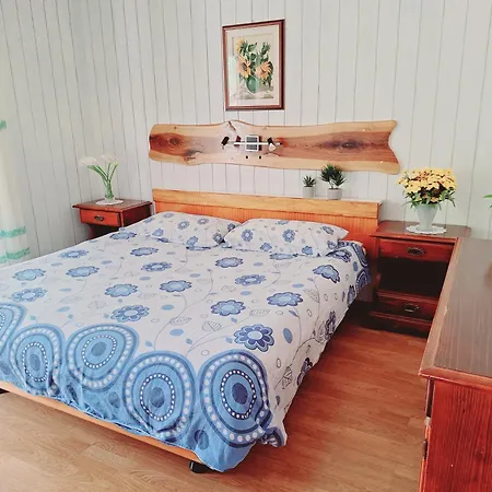 Apartma Ferjan Apartment *