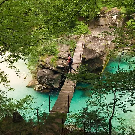 Apartma Ferjan * Zaga