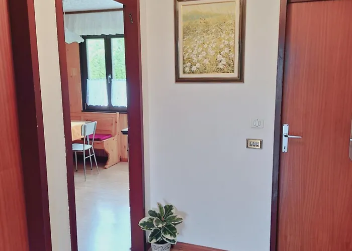 Apartma Ferjan * Zaga