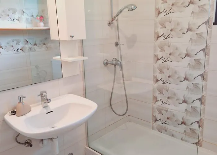 Apartma Ferjan アパート Žaga