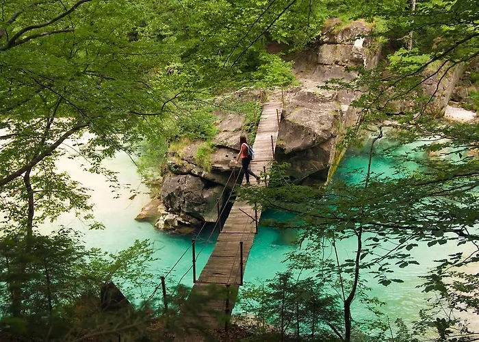 Apartma Ferjan * Zaga